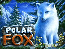 Игровой автомат Polar Fox
